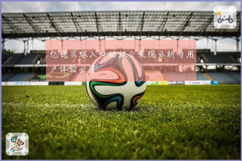 亿德买球入口的综合表现分析与用户体验分享