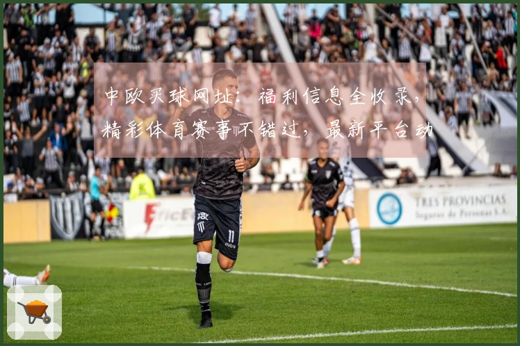 中欧买球网址：福利信息全收录，精彩体育赛事不错过，最新平台动态等你来！