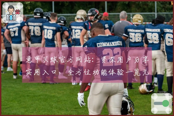 意甲买球官方网站：资深用户分享实用入口，全方位功能体验一览无余